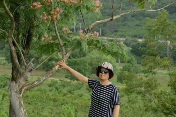 美景佳人夕阳红”对应的生肖谜语答案和解释，终极指南