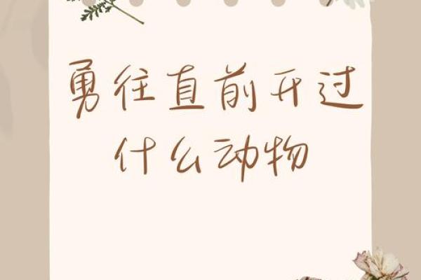 前仰后合”对应的生肖动物谜底怎么猜，最新方法分享
