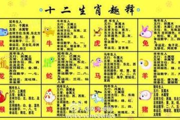溜干二净打一生肖是什么，高手技巧