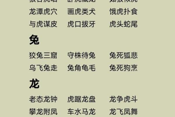 亲亲”代表什么生肖，最佳准确答案解析，最新方法分享
