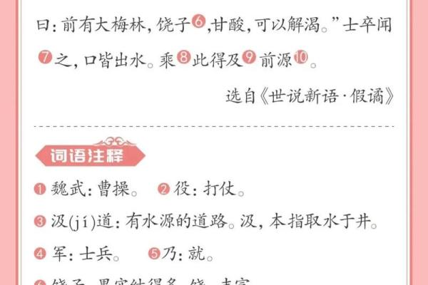 望梅止渴打一生肖正确答案及详细解析，新手必学