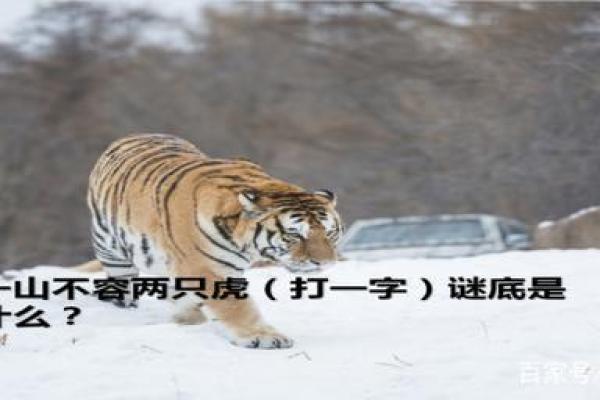 蓬荜生光”打一生肖动物谜底解析，一篇就够了