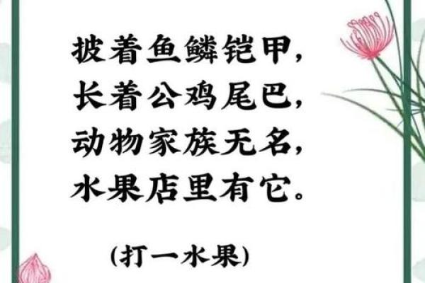 蓬荜生光”打一生肖动物谜底解析，一篇就够了