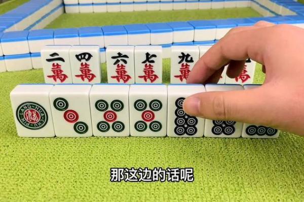 电光火石代表什么生肖有什么寓意，独家秘籍