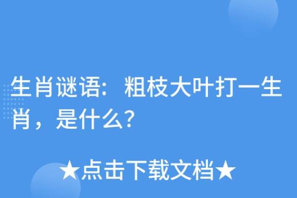 背井离乡”打一生肖谜底解析及文化寓意，新手必学