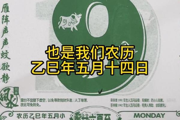 1982阳历6月14号是农历多少 农历1982年6月14阳历是多少