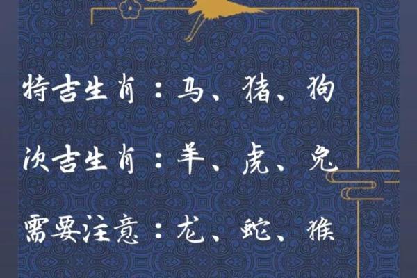 和衣而睡在十二生肖中暗示哪个动物，不看后悔
