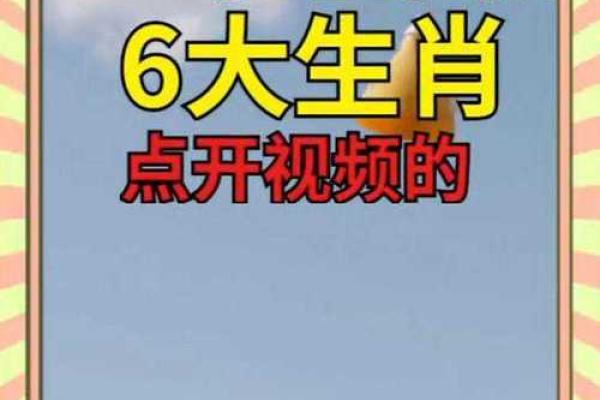 年老色衰打一生肖是什么，零氪玩家必备