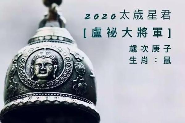 白衣天使代表什么生肖有什么寓意，全解析