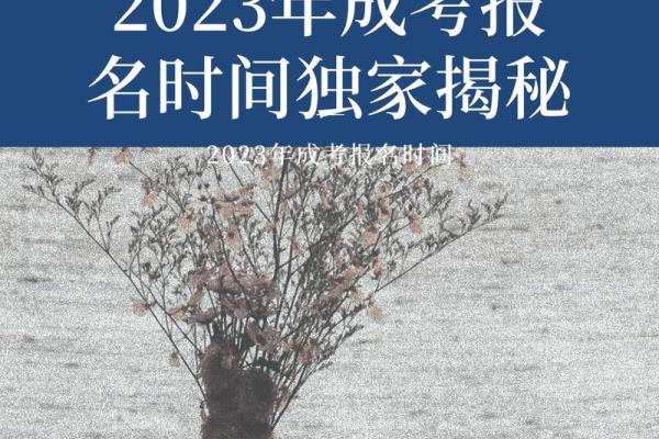 露水夫妻指的是什么生肖的民间说法，独家秘籍