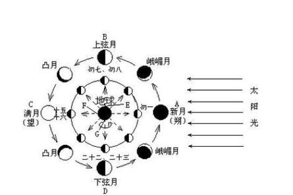 阴历阳历农历怎么区分 阴历阳历农历怎么区分
