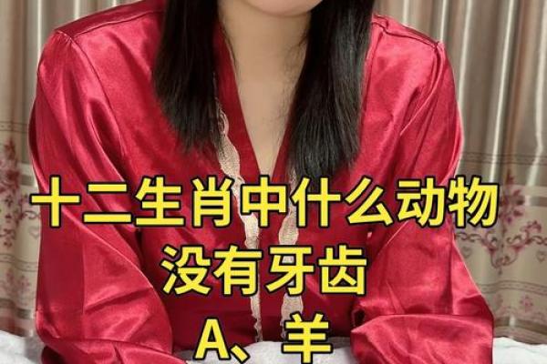 大名鼎鼎”在十二生肖中代表哪个动物，零氪玩家必备