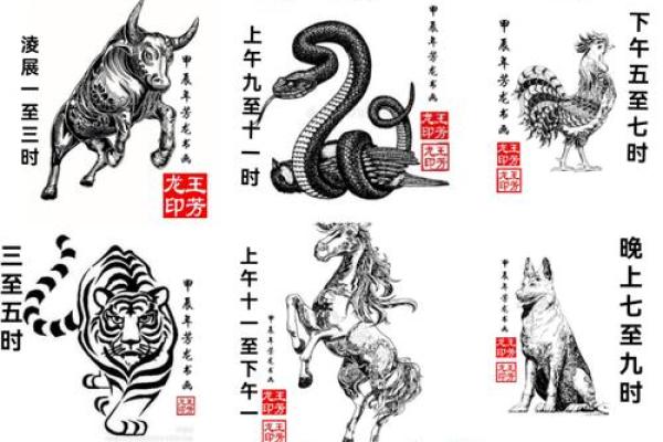 绵里藏针”在十二生肖中代表哪个动物，详细教程