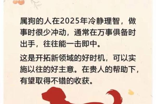 狼烟四起”在十二生肖中代表哪个动物，最新方法分享