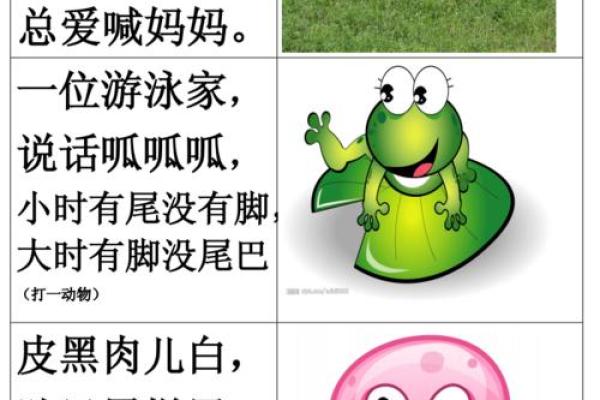 身分不明在生肖谜语中通常指哪个动物，最新方法分享