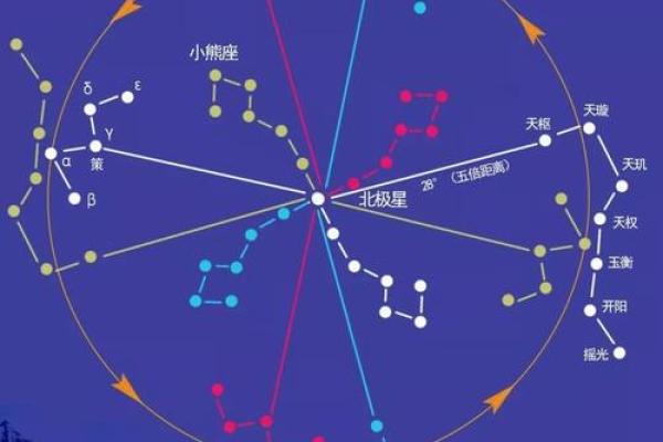 遥遥相对”对应的生肖是什么，不看后悔
