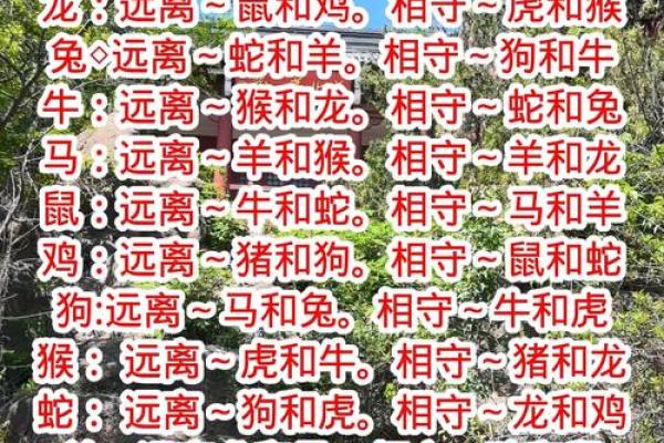 戎马倥偬在十二生肖中代表哪个动物，独家秘籍