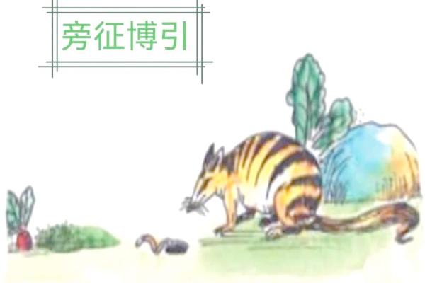 旁征博引打一生肖是什么动物答案及解释，高手技巧