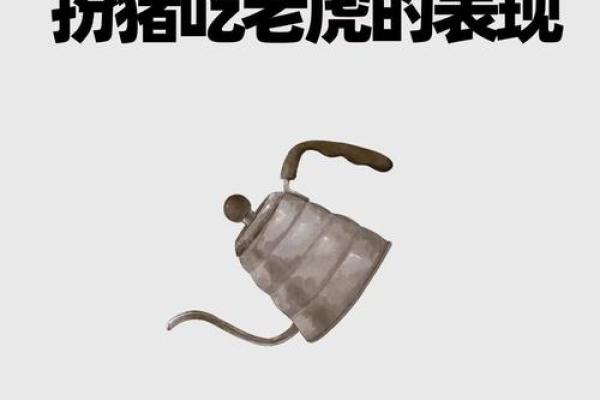 虎口夺食打一生肖动物是什么意思，小白也能学会