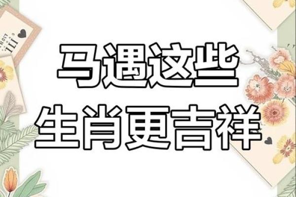 沸反盈天对应的生肖是什么，独家秘籍