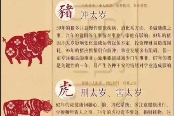 器浮轻巧”对应的生肖是什么？准确答案揭晓，最新方法分享