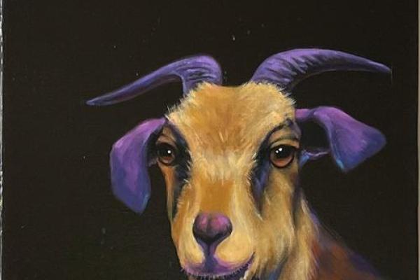 雏鹰展翅”对应的生肖动物解析，不看后悔