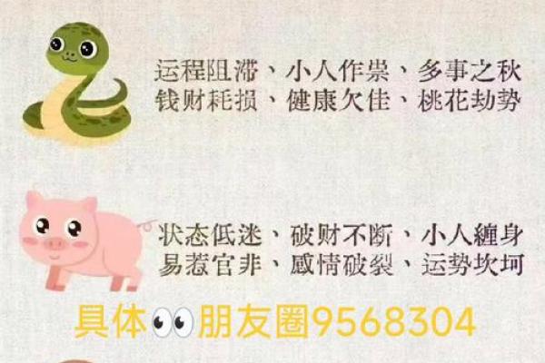 倚此为命”对应的生肖动物是什么，实战技巧