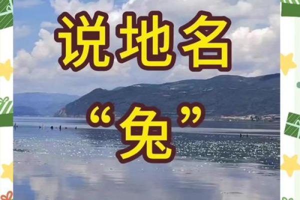闺中女子打一生肖谜底是什么，新手必学