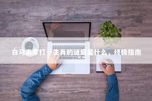 白马素车打一生肖的谜底是什么，终极指南