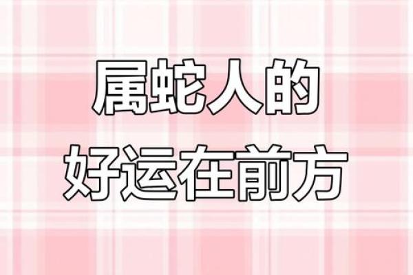 1965年属蛇的最佳配偶 1965年属蛇的最佳配偶属大龙