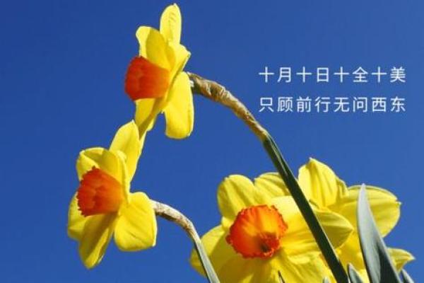 2025年10月吉日一览表 十月份最吉利的日子