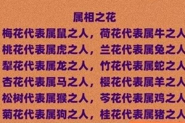 指鹿为马谜底生肖是什么正确答案，详细教程