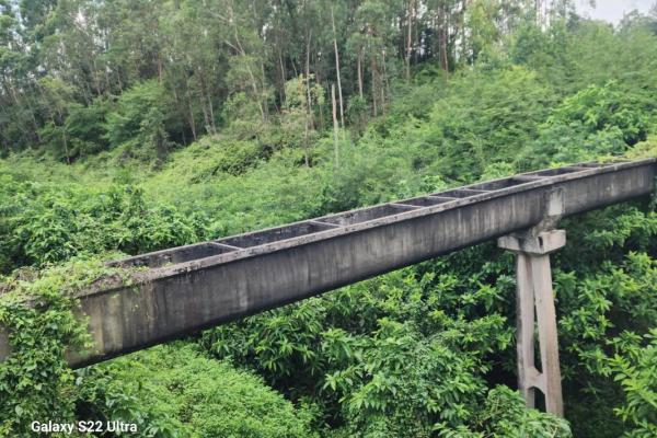 1983年5月22日农历是多少 1983年2月26日农历是几号