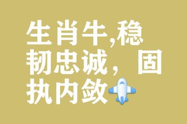 六神无主形容哪个生肖的性格特点，新手必学