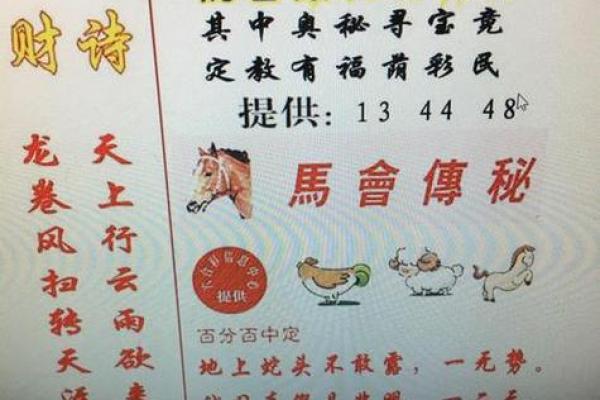 年老色衰打一生肖的谜底是什么，终极指南