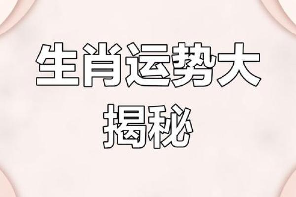 见贤思齐”对应的生肖是什么最准，必看攻略