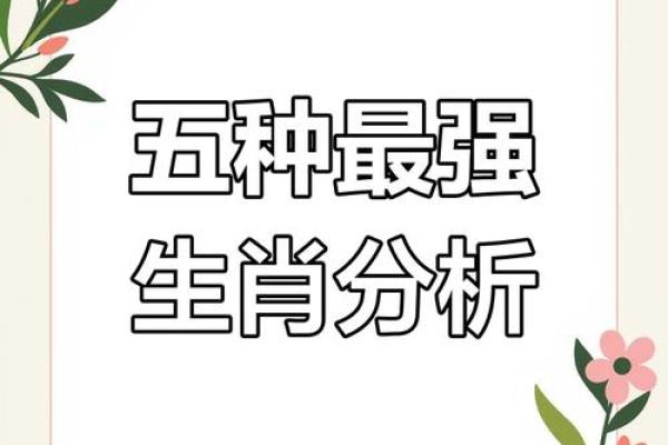 山光水色对应的生肖动物解析，全解析