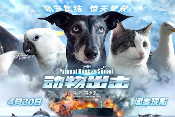 目光如豆对应的生肖动物是什么，终极指南