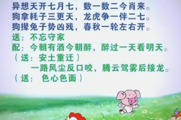 腾云驾雾后接龙的生肖谜底是什么怎么解释，最新方法分享