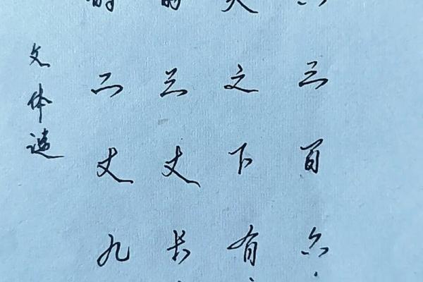 一九日出十光明”谜底是什么生肖动物，实战技巧