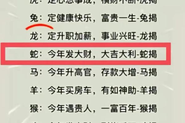 器浮轻巧”打一生肖谜底及详细解析，高手技巧