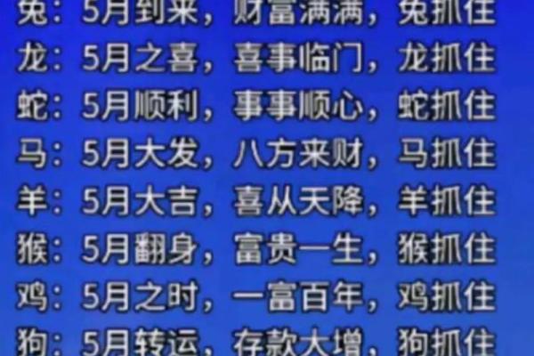 器浮轻巧”打一生肖谜底及详细解析，高手技巧