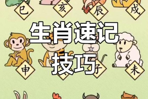 鸟尽弓藏代表哪个生肖动物最准确，最新方法分享