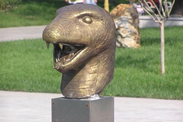 鸟尽弓藏代表哪个生肖动物最准确，最新方法分享