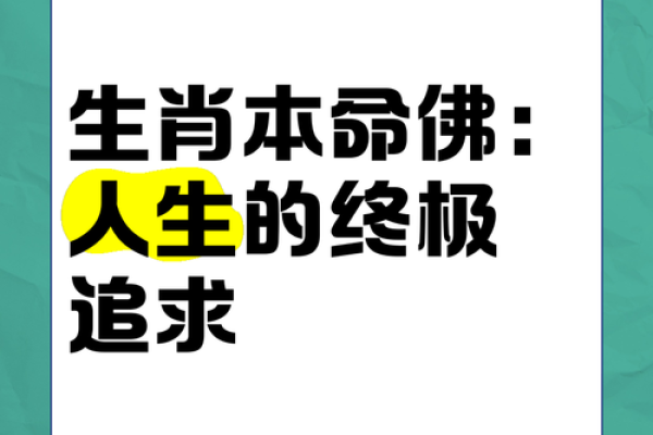 不大不小打一生肖正确答案解析,终极指南 不大不小打一生肖正确答案解析,终极指南