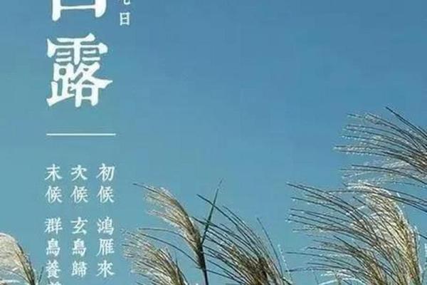 9月7号白露几点几分 9月7日白露几时几分