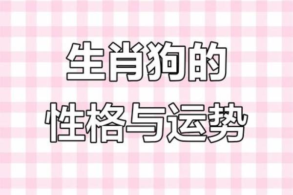 生肖解析：热中名利对应的性格代表动物，全解析