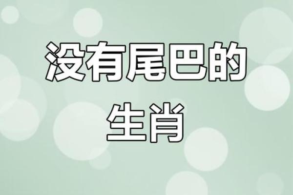 逗留不进”对应的生肖动物解析，实战技巧