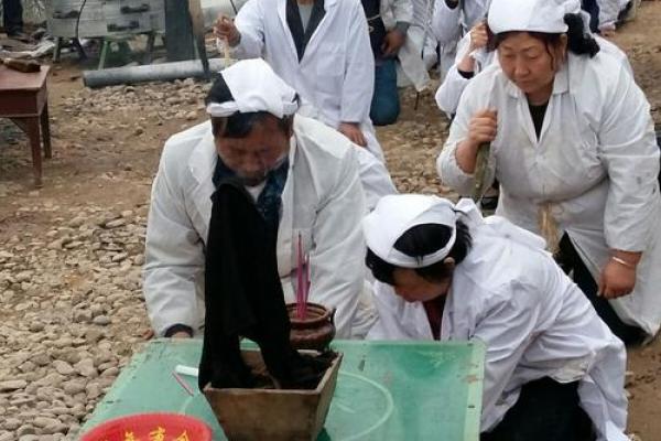 白马素车指的是什么生肖动物，3分钟速成