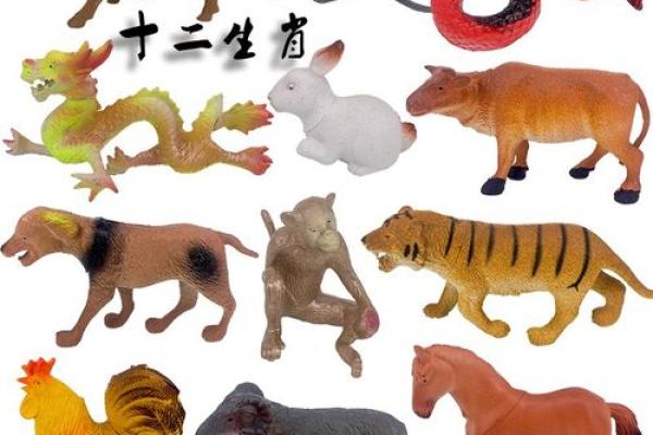 白马素车指的是什么生肖动物，3分钟速成